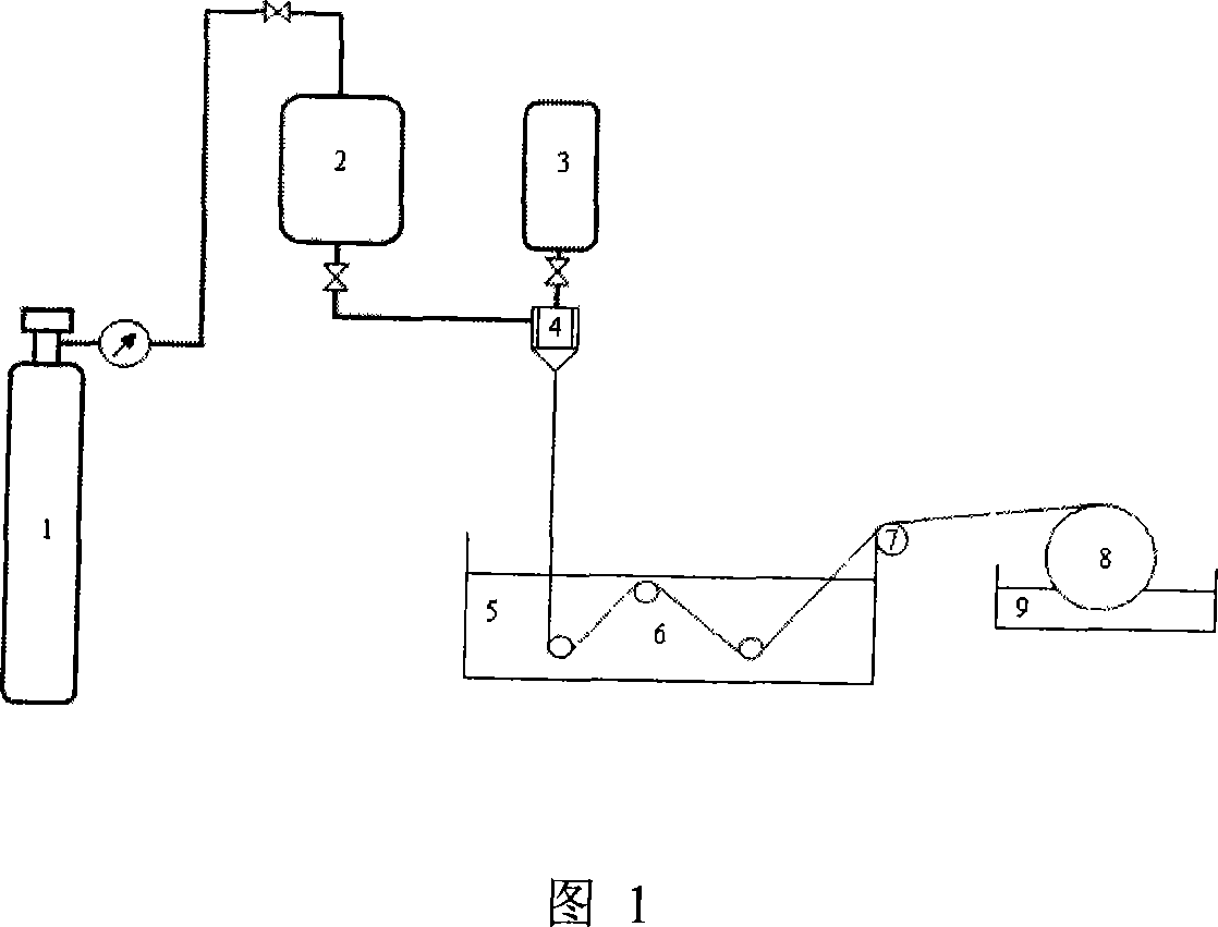 Hollow fiber film, and preparation and use thereof