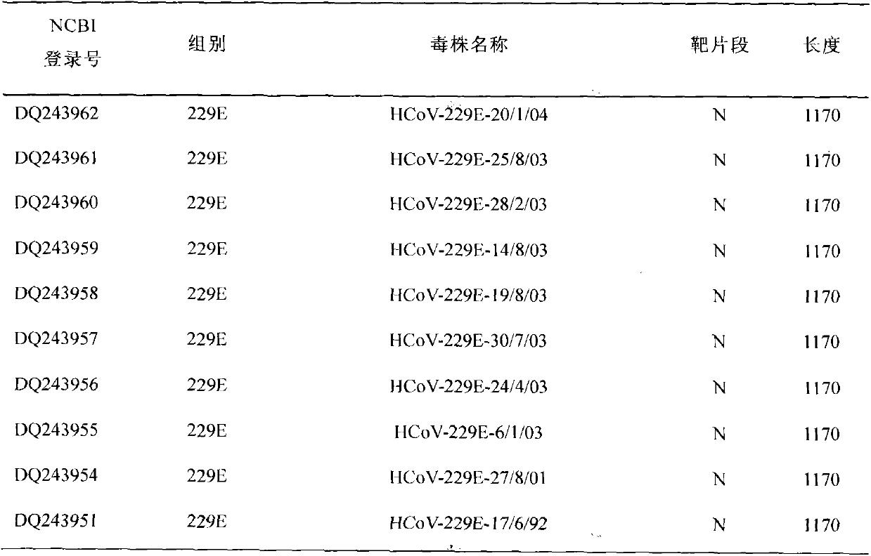 Method and kit for simultaneous detection of human coronavirus 229E, OC43 and NL63