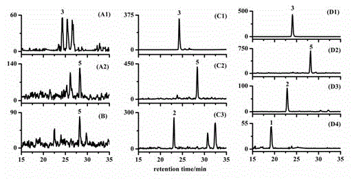 Method for quantitative detection of endogenous brassinosteroids in plant sample