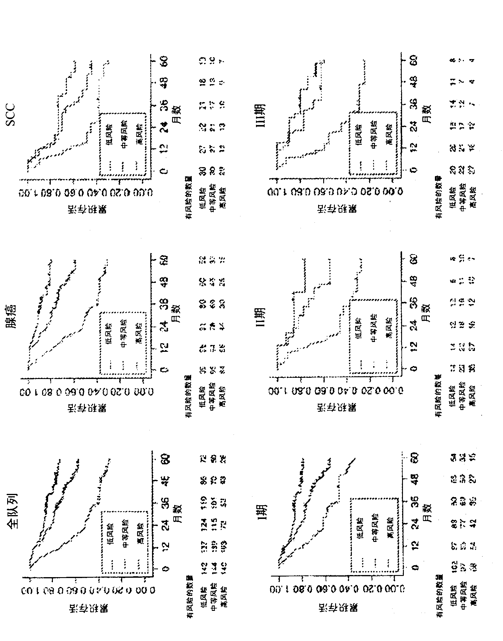 Multigene prognostic assay for lung cancer