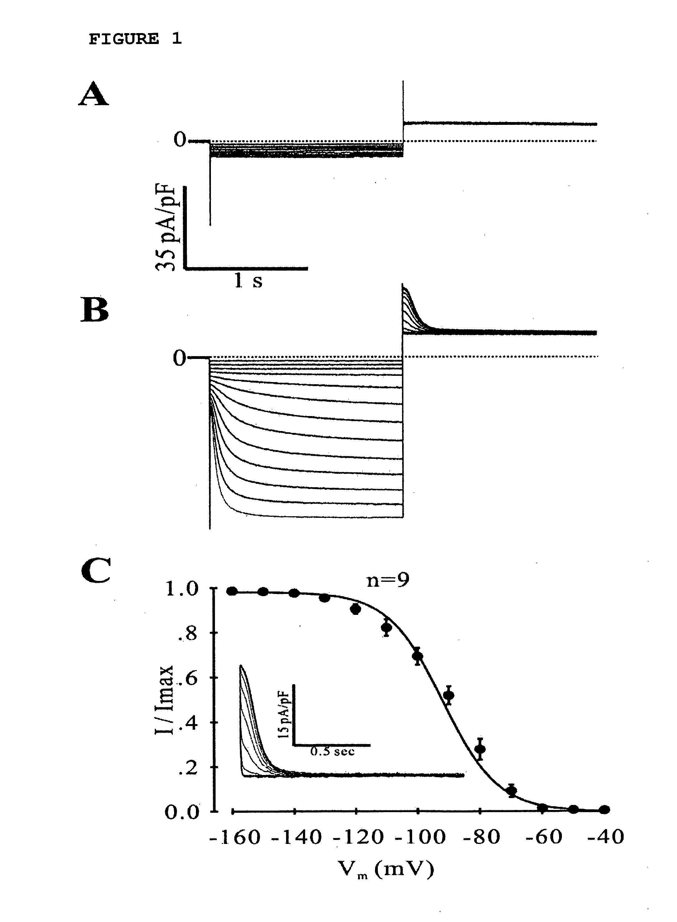 Assay System For Monitoring The Effects Of Genetically Engineered Cells To Alter Function Of A Synctium