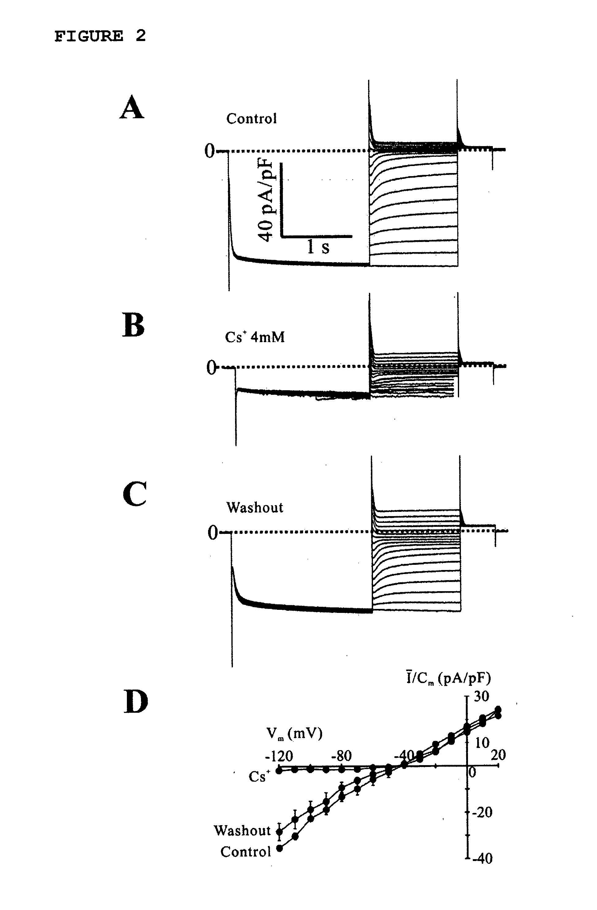 Assay System For Monitoring The Effects Of Genetically Engineered Cells To Alter Function Of A Synctium