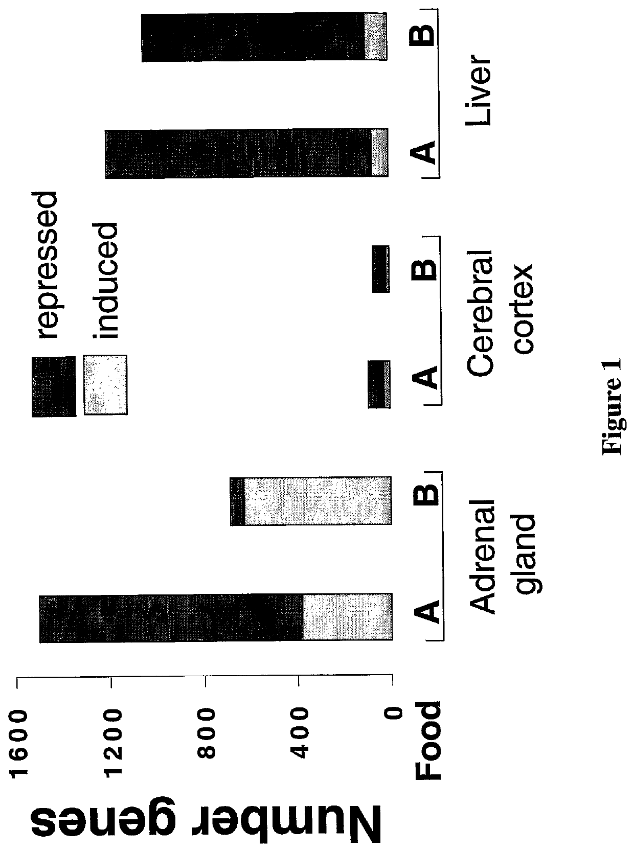 Use of antioxidants for gene modulation