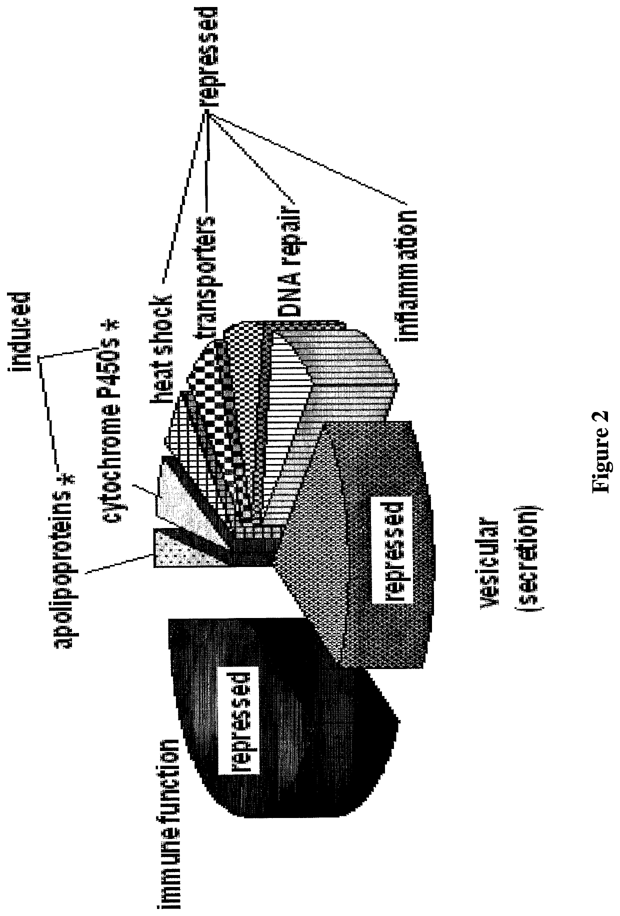 Use of antioxidants for gene modulation