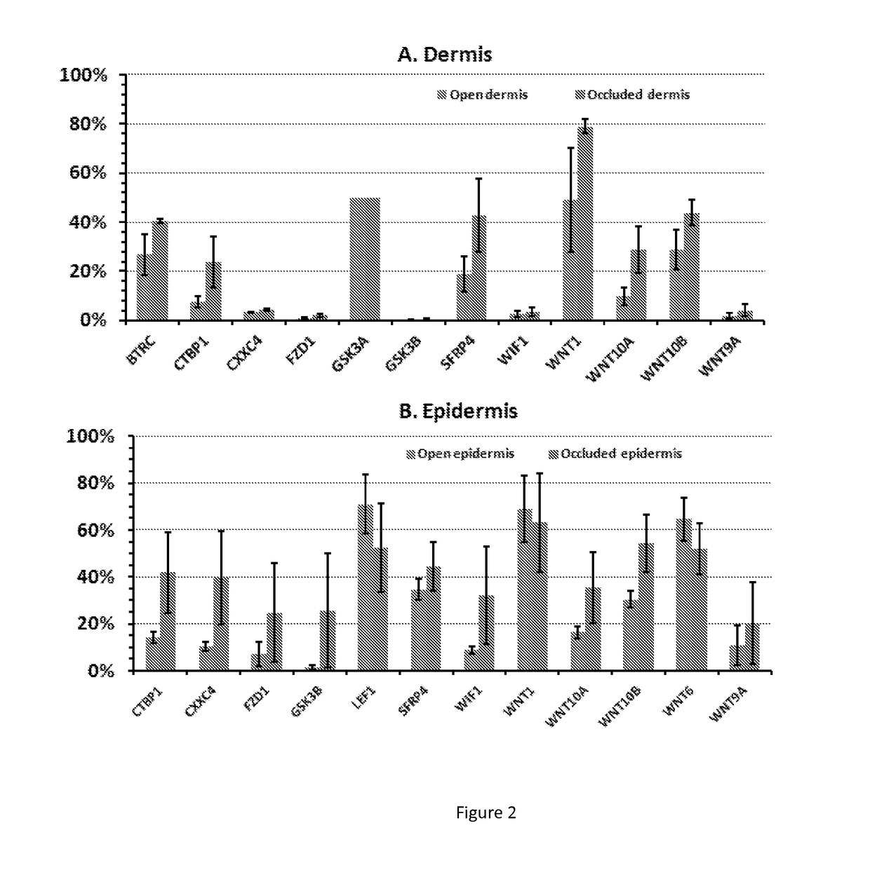 5-aza-2'- deoxycytidine and methods of use thereof for promoting wound healing and regeneration