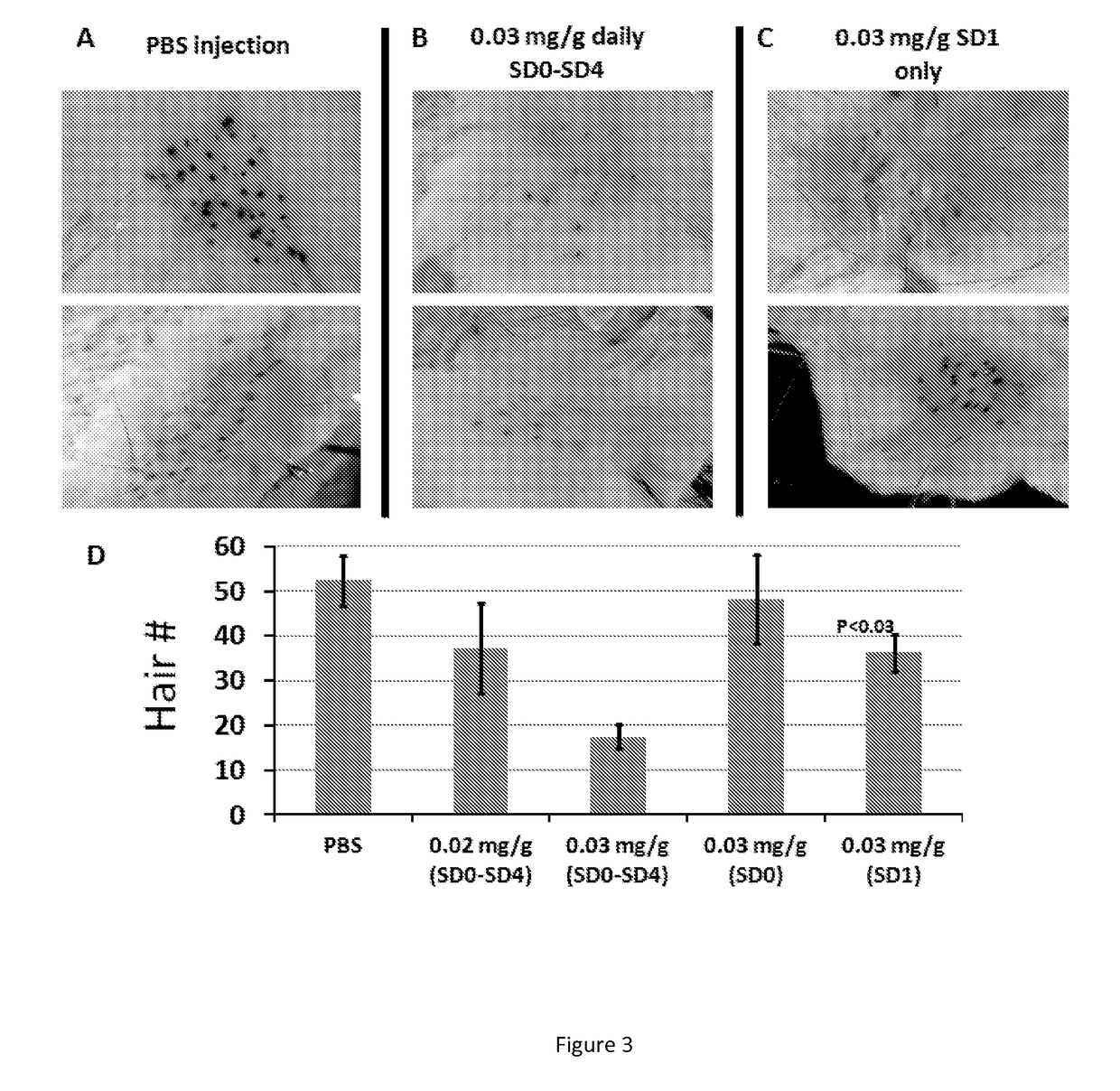 5-aza-2'- deoxycytidine and methods of use thereof for promoting wound healing and regeneration