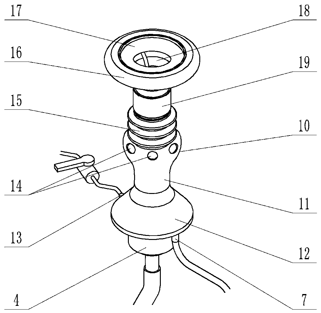 Anastomotic fistula protective flusher