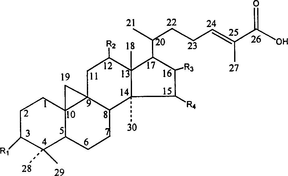 Pineapple anhydride compound and its use