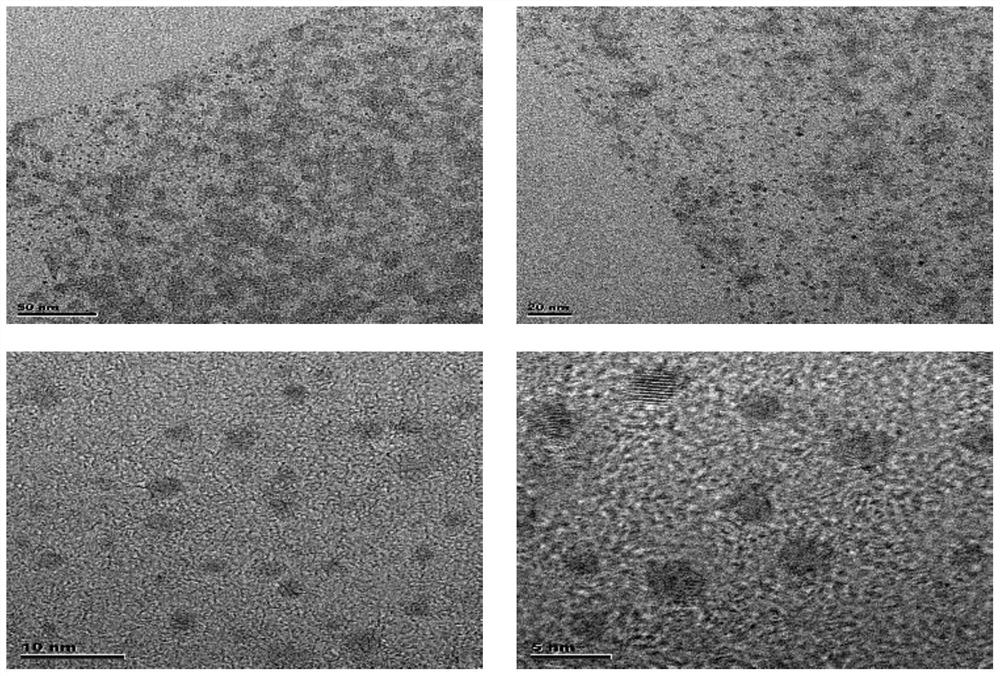 Carbon quantum dot modified dual-network hydrogel and preparation method thereof