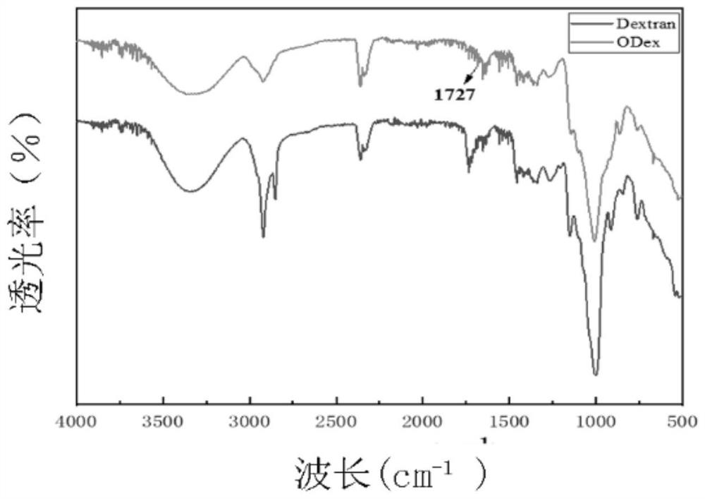 Carbon quantum dot modified dual-network hydrogel and preparation method thereof