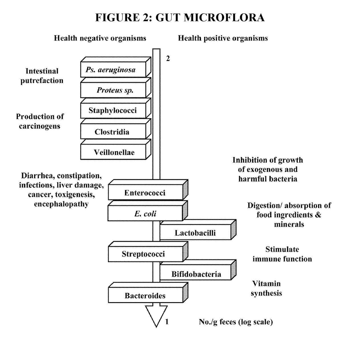 Nitrate biosensor