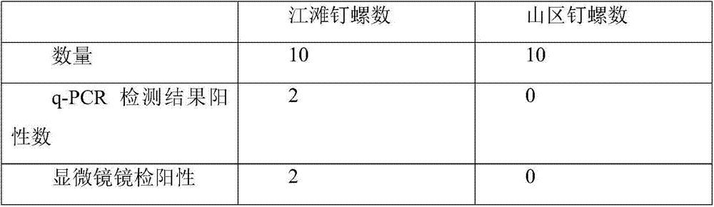 q-PCR primers, identification methods and kits for identifying snails infected with Schistosoma japonicum