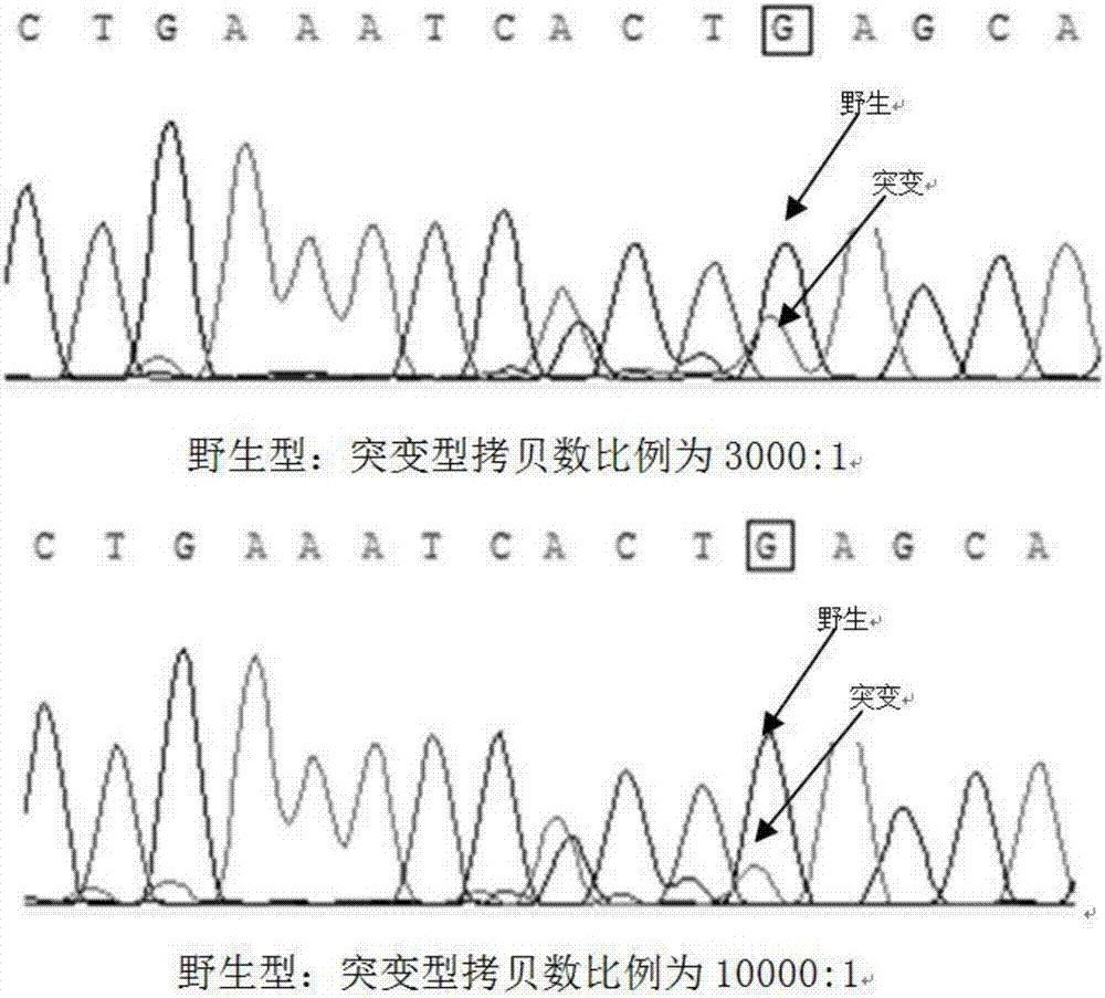 Kit and method for detecting PIK3CA gene mutation in plasma free DNA