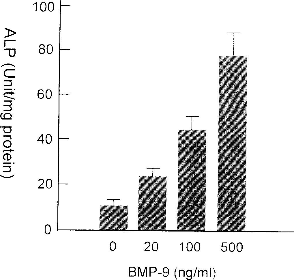 Nucleotide sequence for human morphogenetic protein 9 recombinant proteins and production method and use thereof