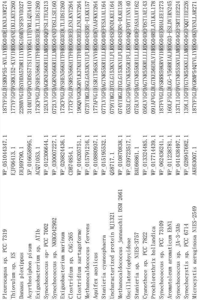 Chimeric protein pagoe and its construction method, application, and chimeric protein pagoe using a wizard, its construction method, and application