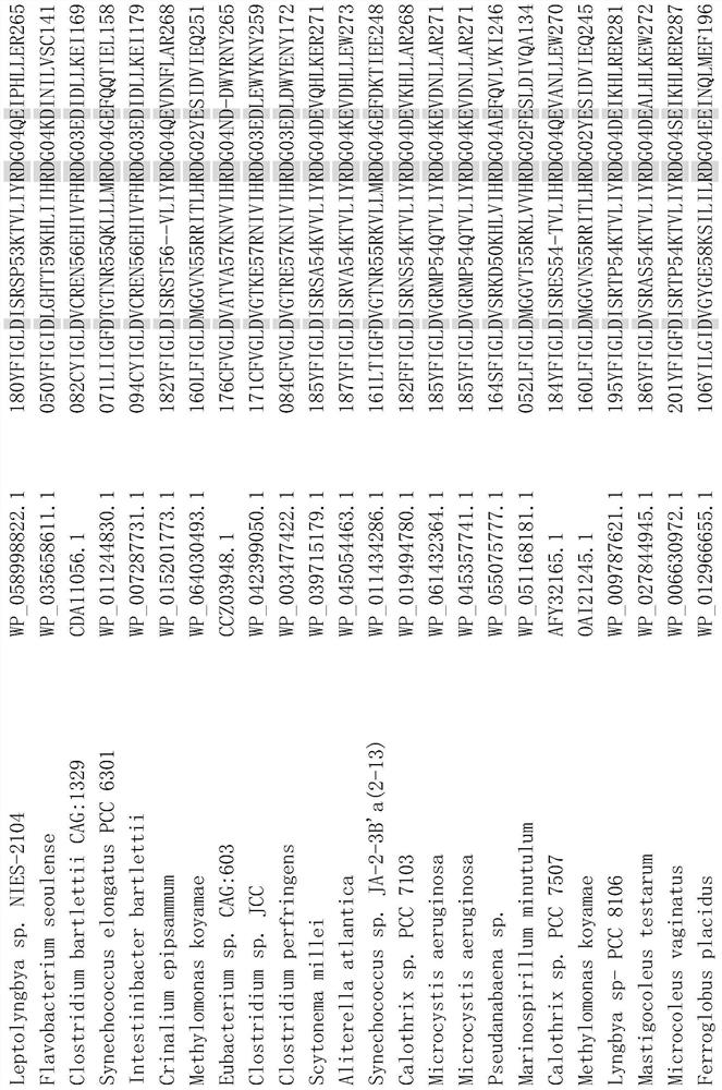 Chimeric protein pagoe and its construction method, application, and chimeric protein pagoe using a wizard, its construction method, and application