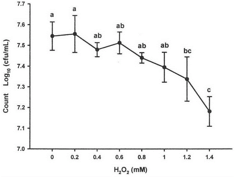 A strain of Pediococcus pentosaceae r1 with in vitro antioxidant activity and its application as an antioxidant in fermented meat products