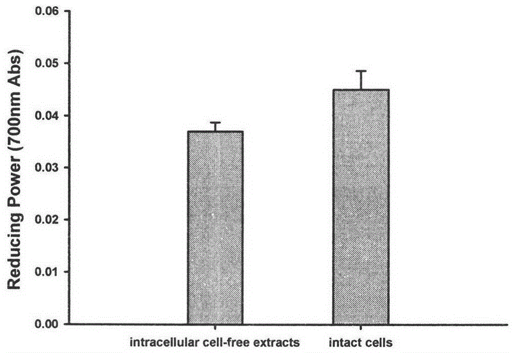 A strain of Pediococcus pentosaceae r1 with in vitro antioxidant activity and its application as an antioxidant in fermented meat products