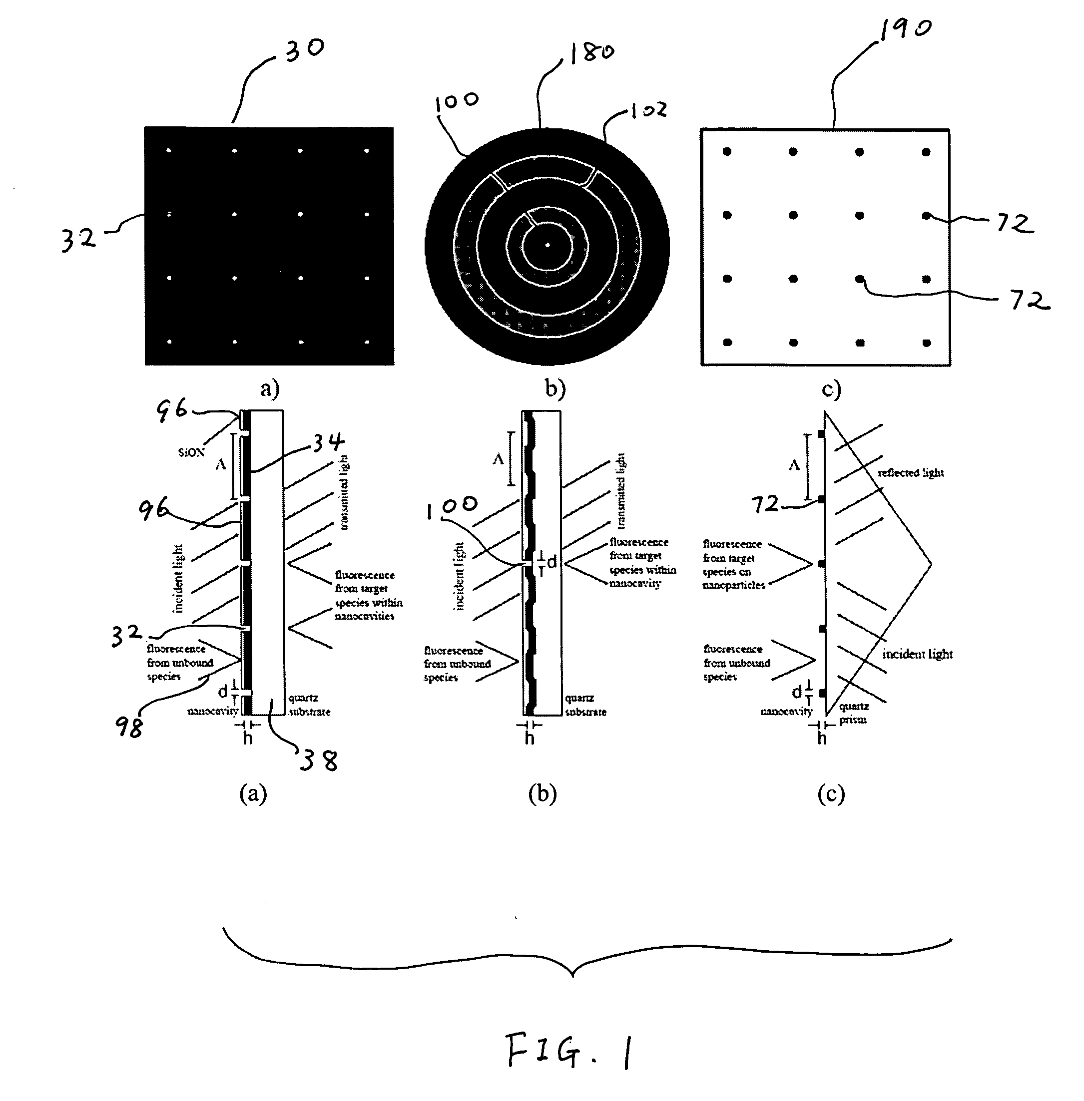 Biosensors including metallic nanocavities