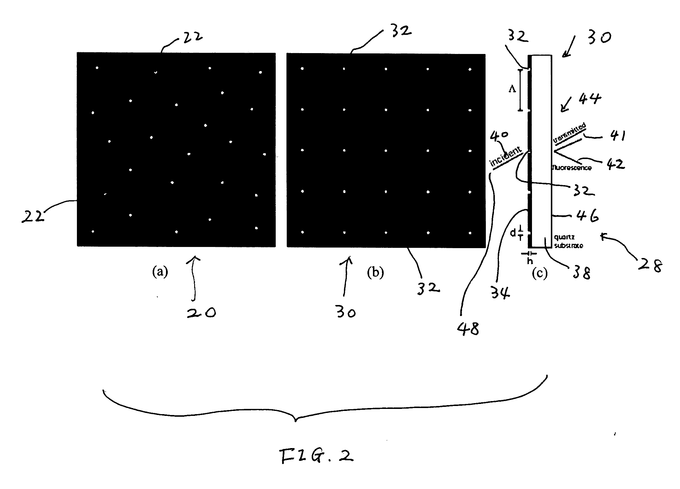 Biosensors including metallic nanocavities