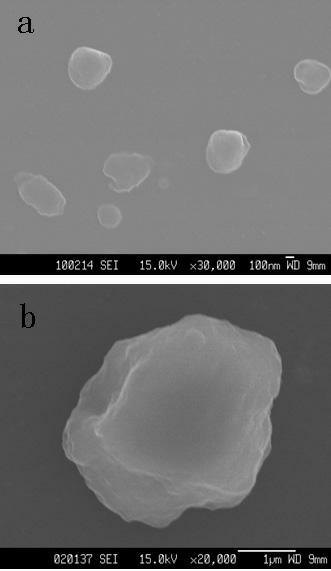 Loaded alpha-palladium diimine and method for preparing hyperbranched polyethylene by catalyzing with same