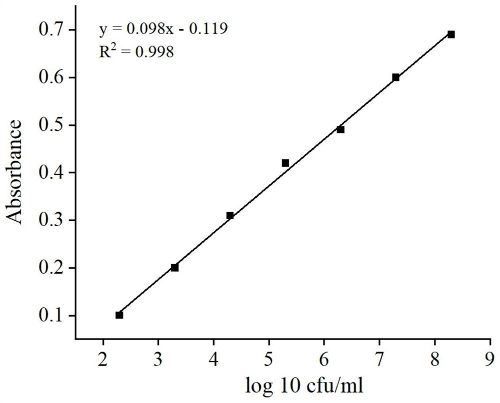 Primer, probe and kit for absolute quantification of Rhizopus oryzae