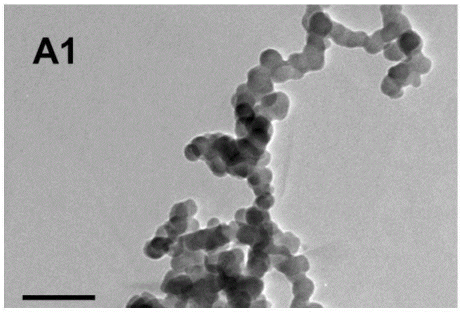 Preparation method for graphene oxide-TiO2-hypocrellin A three-component compound system and application thereof in photodynamic therapy