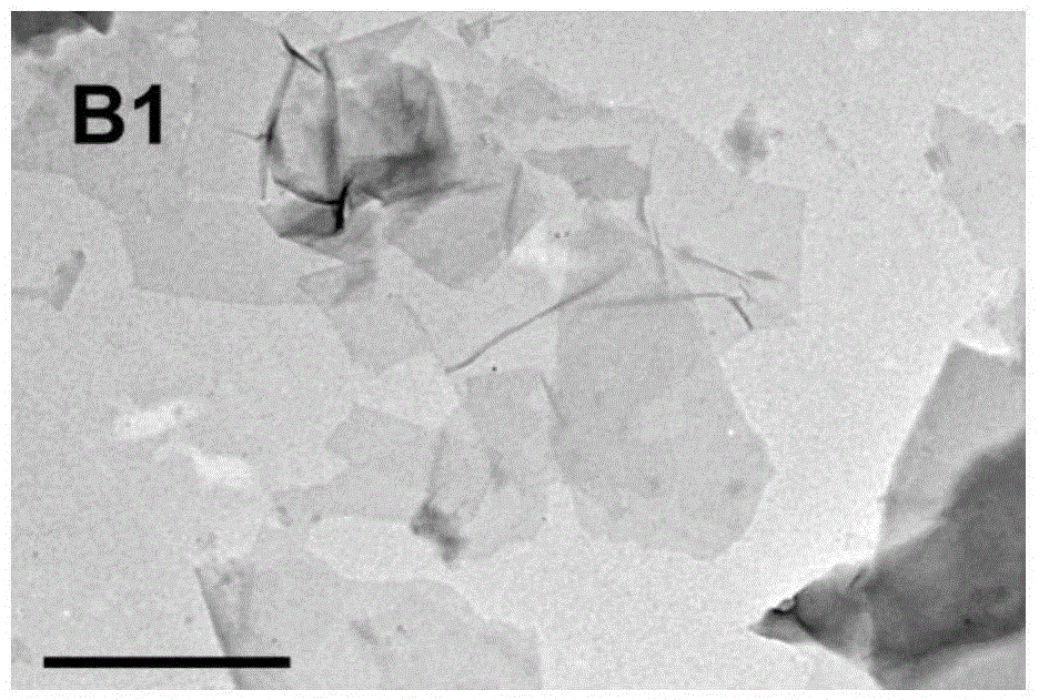 Preparation method for graphene oxide-TiO2-hypocrellin A three-component compound system and application thereof in photodynamic therapy