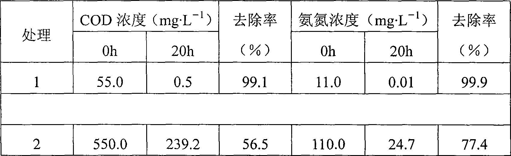 Water purification method for circulating water industrialized aquiculture system and complex bacterial agent thereof