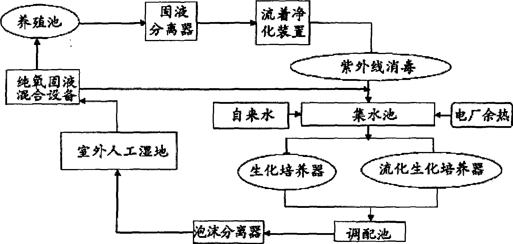 Water purification method for circulating water industrialized aquiculture system and complex bacterial agent thereof