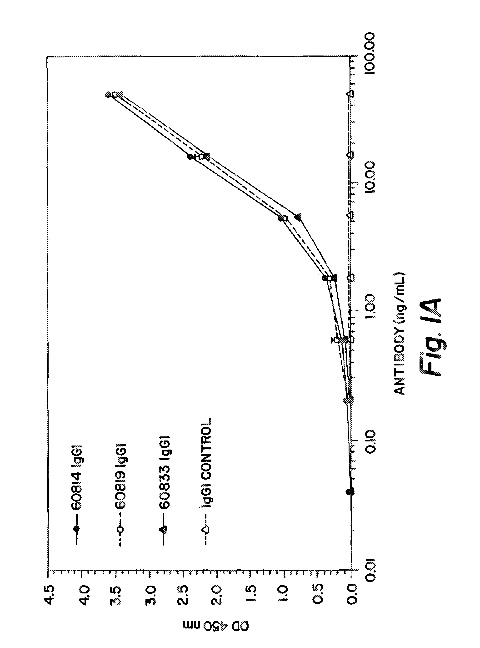 Anti-IGF antibodies