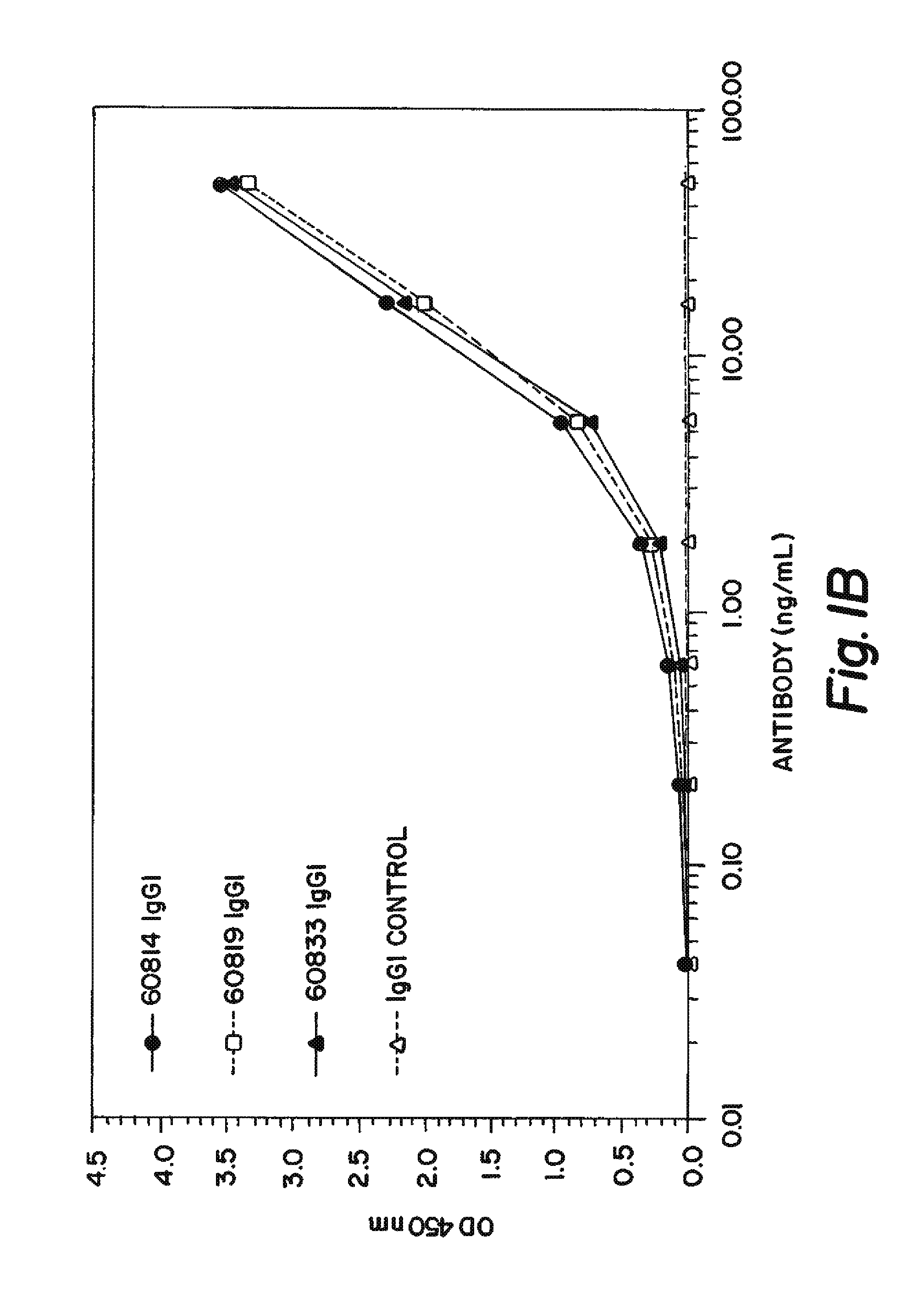 Anti-IGF antibodies