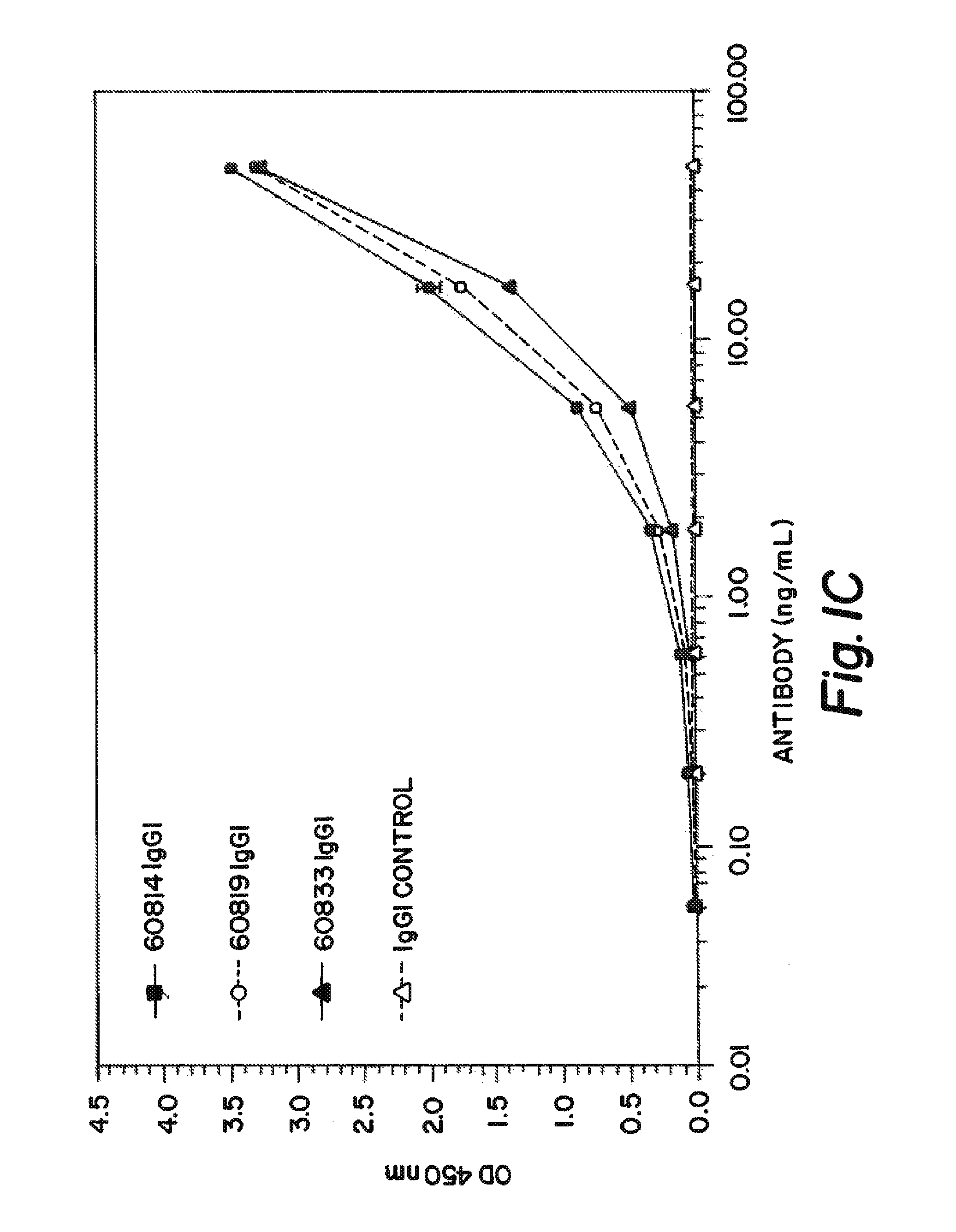 Anti-IGF antibodies