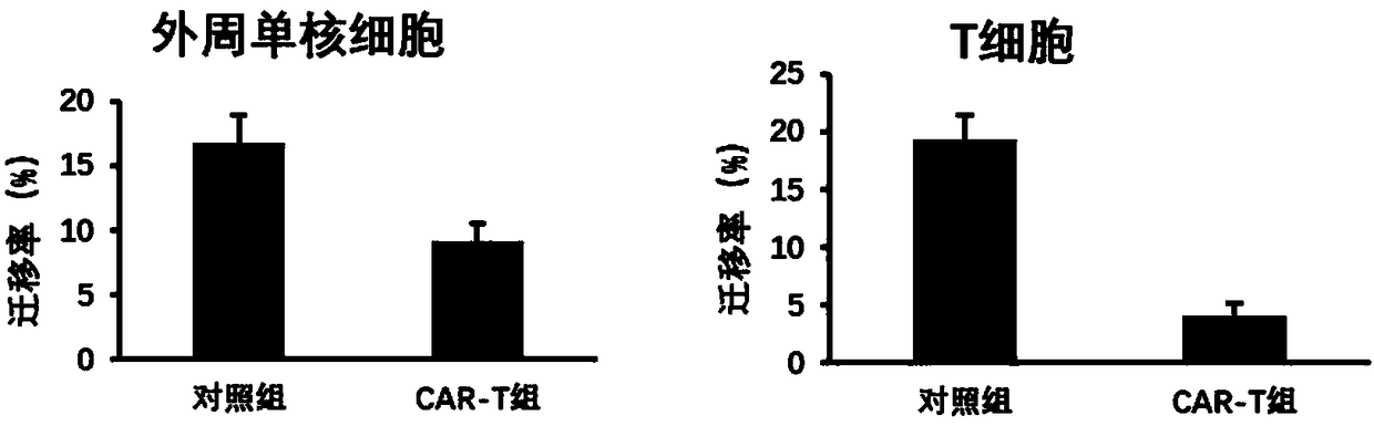 Chimeric antigen receptor modified lymphocyte capable of expressing CXCR4, and preparation method and applications thereof