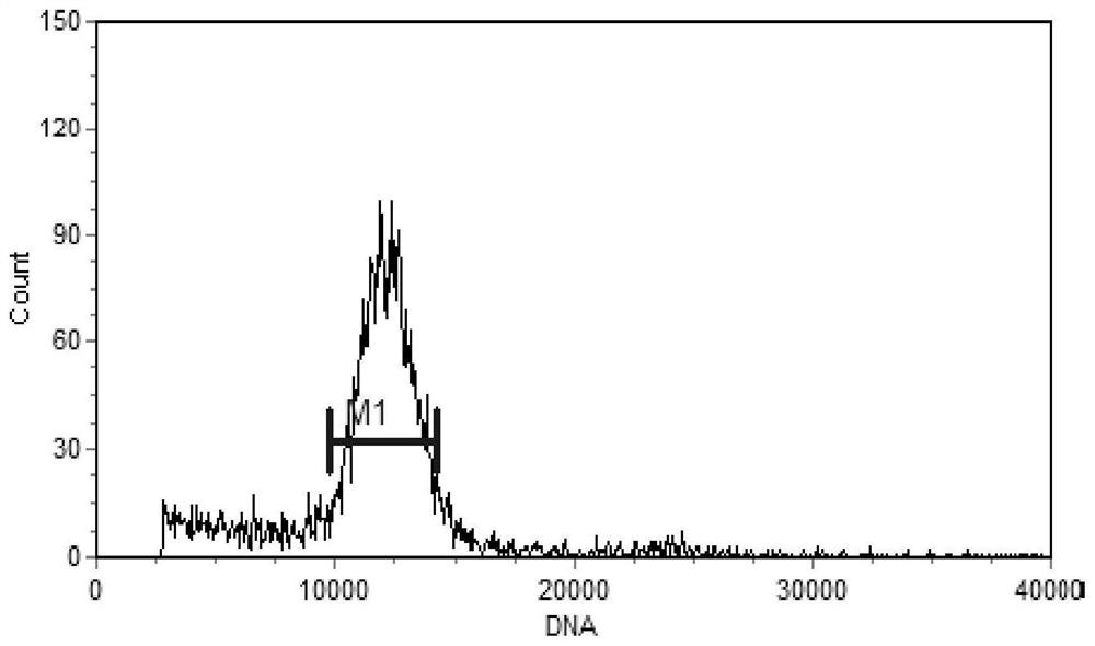 Efficient induction method of clerodendrum japonicum polyploidy