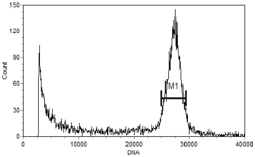 Efficient induction method of clerodendrum japonicum polyploidy