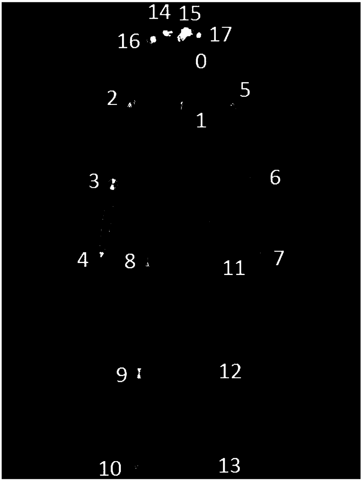 A method for detecting the position arrangement of key points of human skeleton on a multi-person image