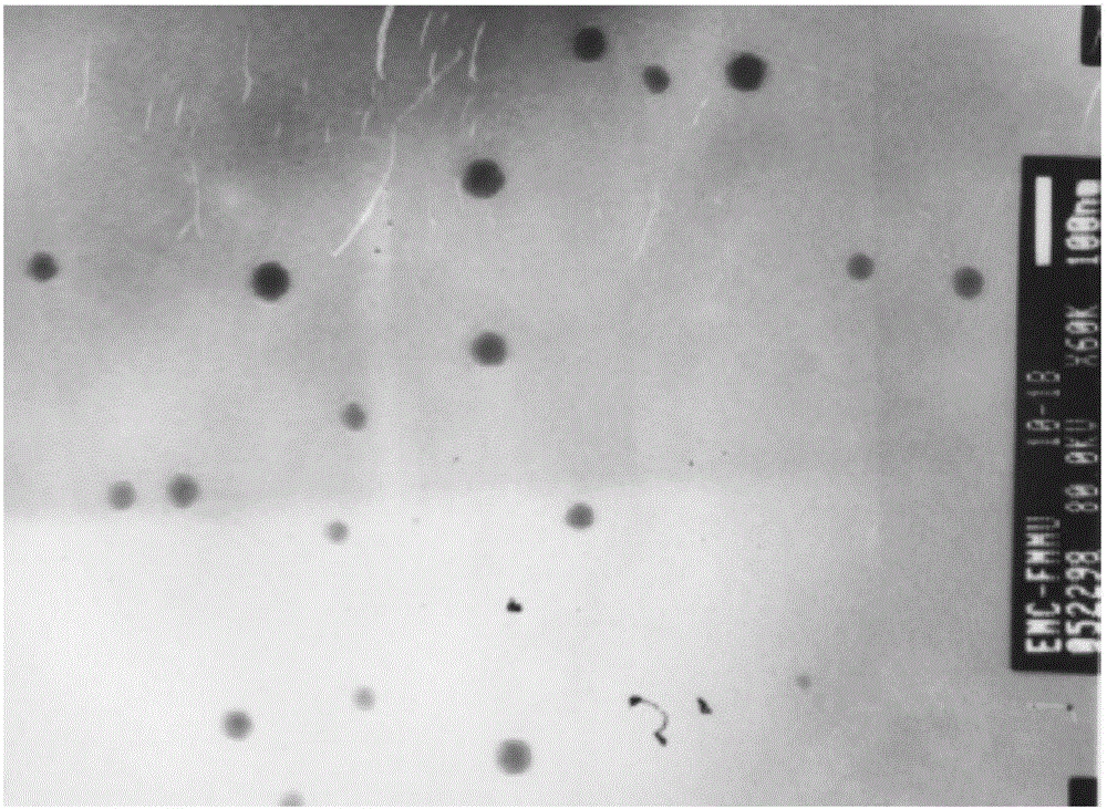 Altrenogest nanometer emulsion and method for preparing same