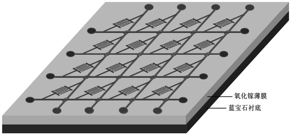 a β-ga  <sub>2</sub> o  <sub>3</sub> Sun-blind ultraviolet photodetector array and its preparation method