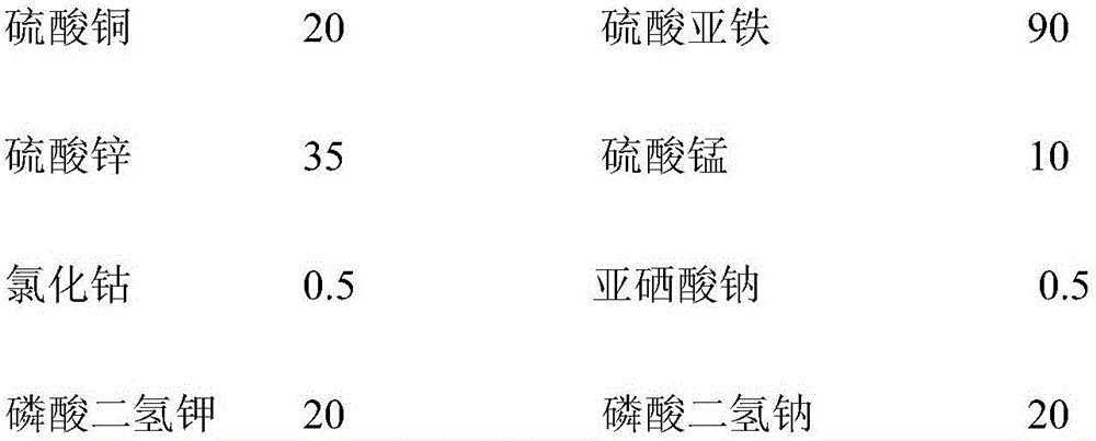 Preparation method of starter feed for scophthalmus maximus linnaeus fingerlings