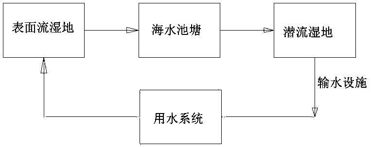 Ecosystem for purifying mariculture water by composite constructed wetland in subtropical area and purification method