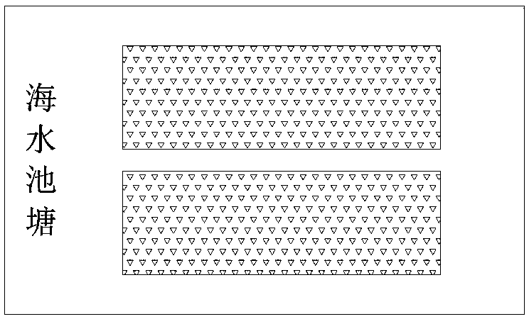 Ecosystem for purifying mariculture water by composite constructed wetland in subtropical area and purification method