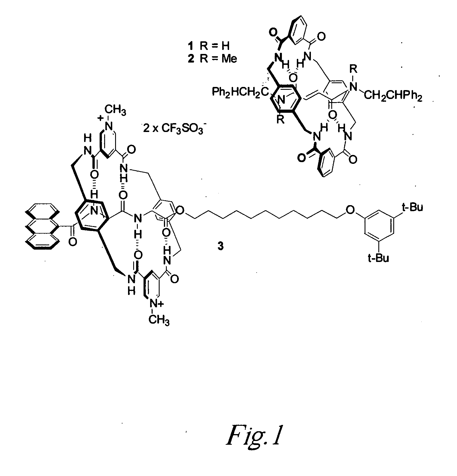 Process for obtaining spatially-organised nanostructures on thin films