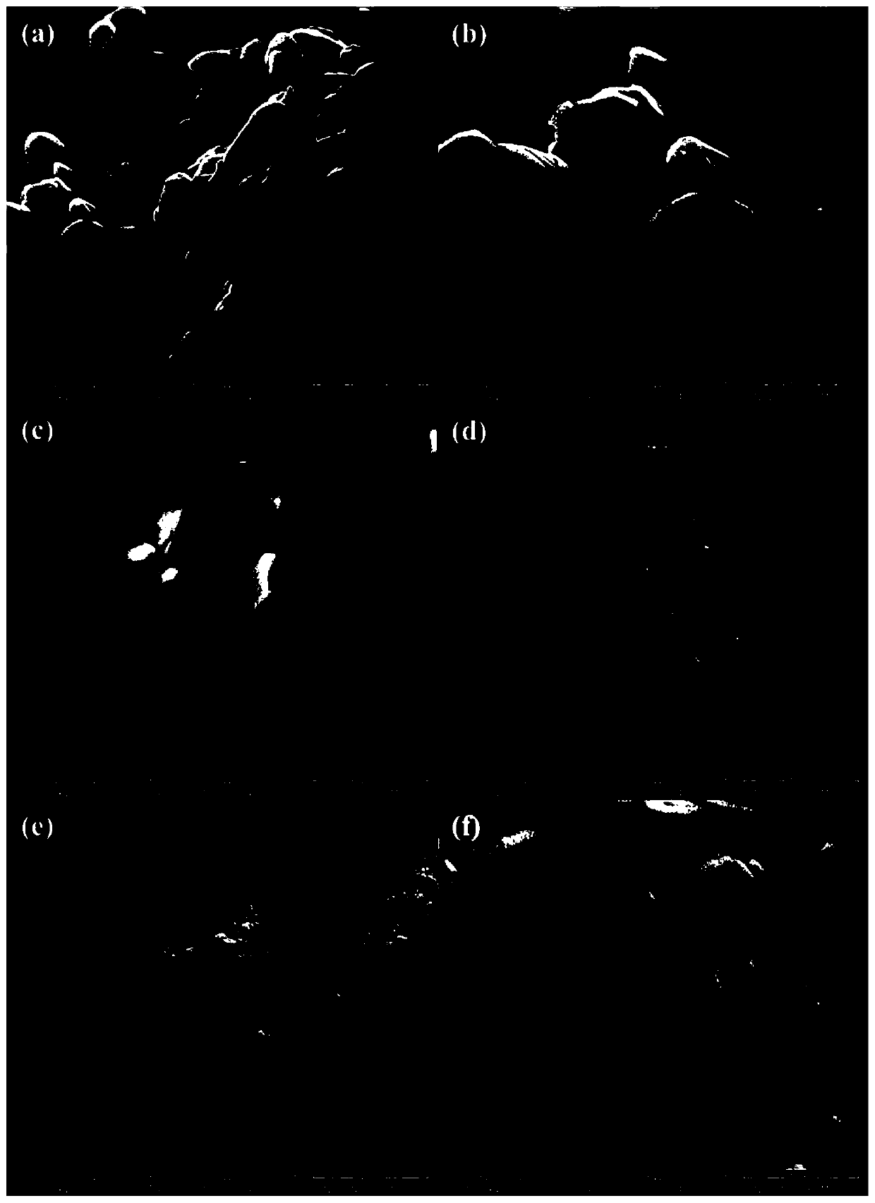 Silver vanadate/silver carbonate p-n heterojunction composite photocatalyst as well as preparation method and application thereof