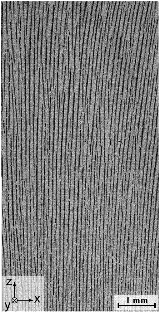 High-volume-fraction ceramic-metal layered composite material and preparation method thereof