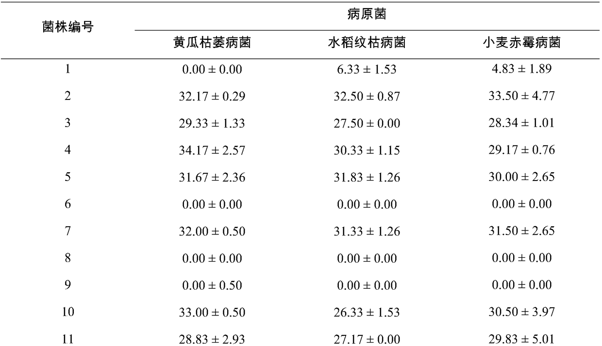 Bacillus methylotrophicus BMF 04, fermentation method for same and application of bacillus methylotrophicus BMF 04