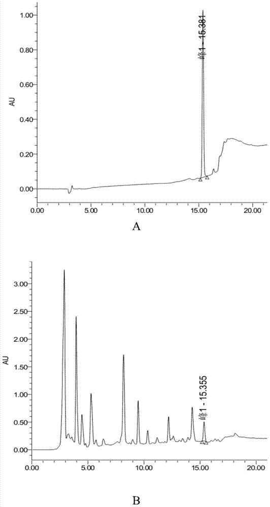 Lactobacillus plantarum bacterial strain and application thereof