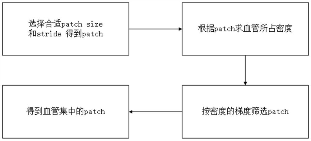 Cerebrovascular atlas construction method