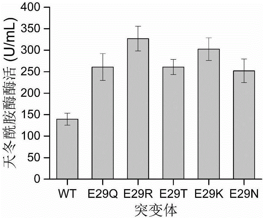 Asparaginase mutant with improved enzyme activity