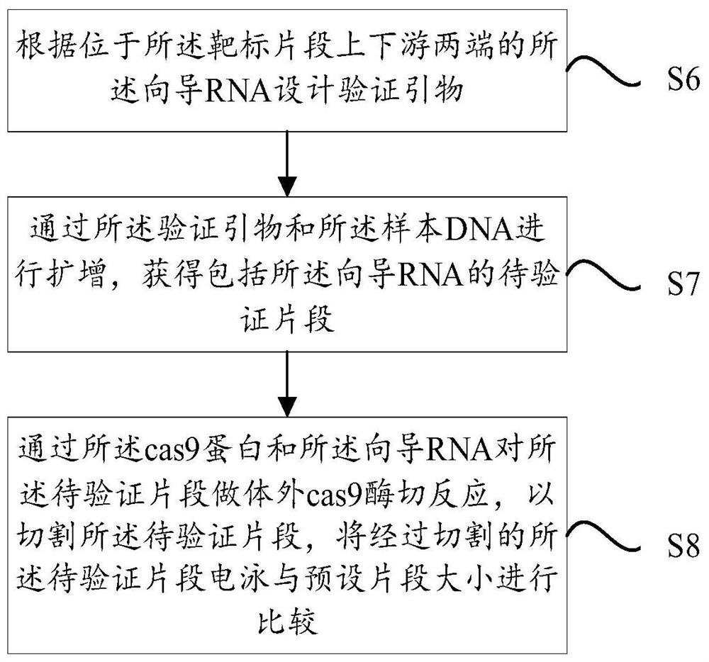 DNA fragment targeted enrichment method and application thereof in genome targeted sequencing